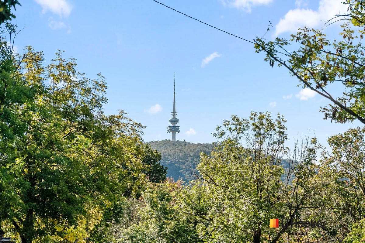 Image 25