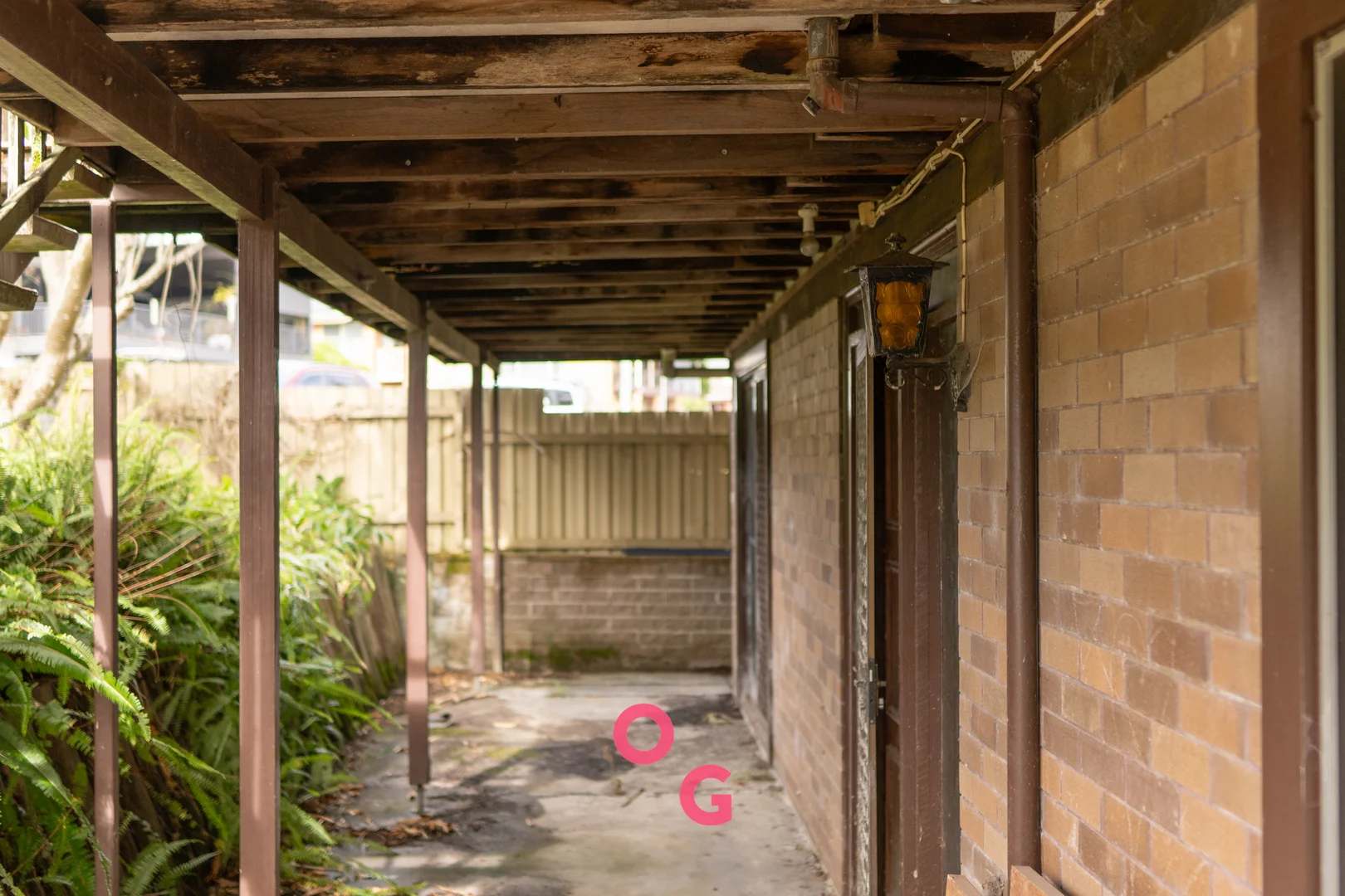 Image 12