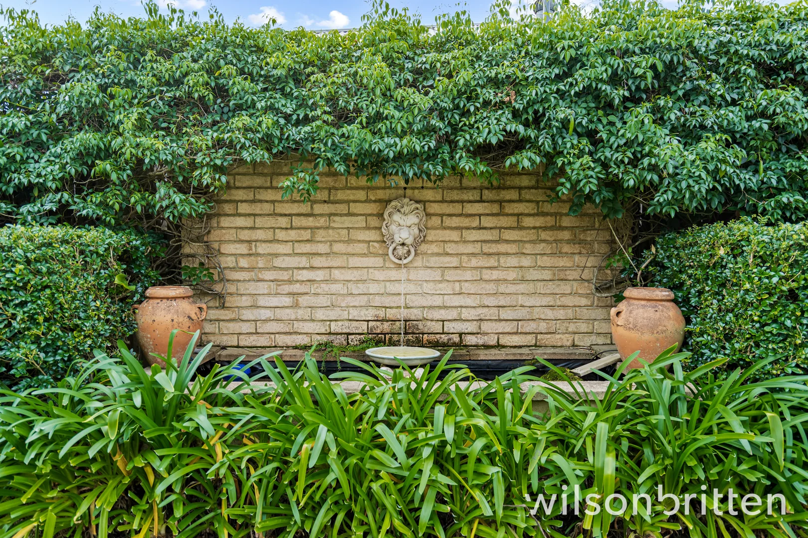 Image 12