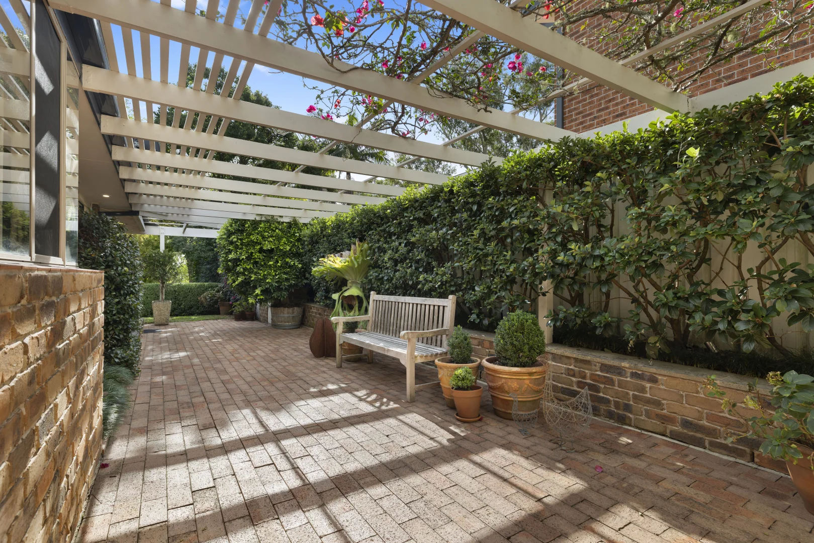 Image 10