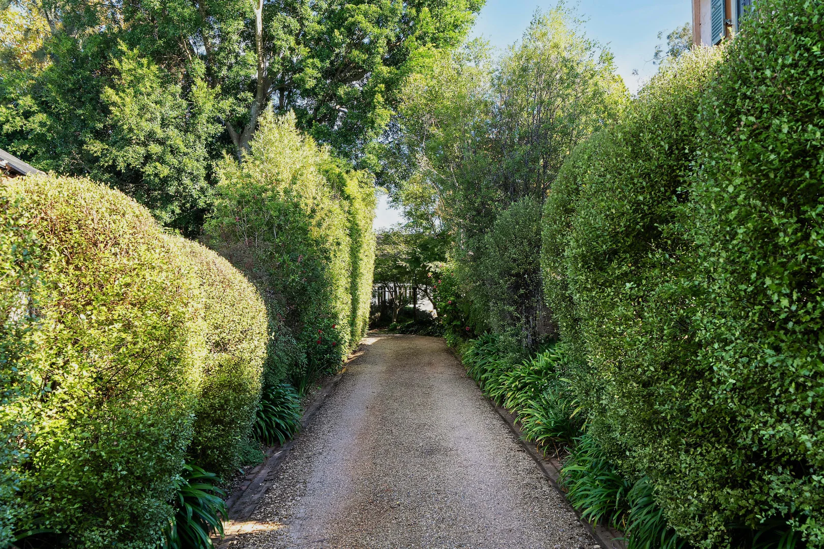 Image 29