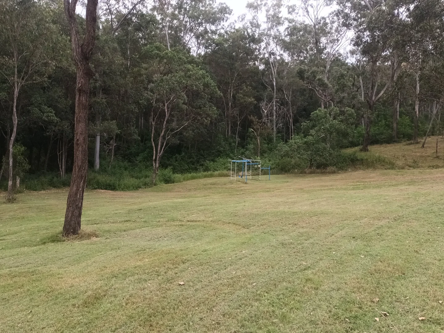 Image 13