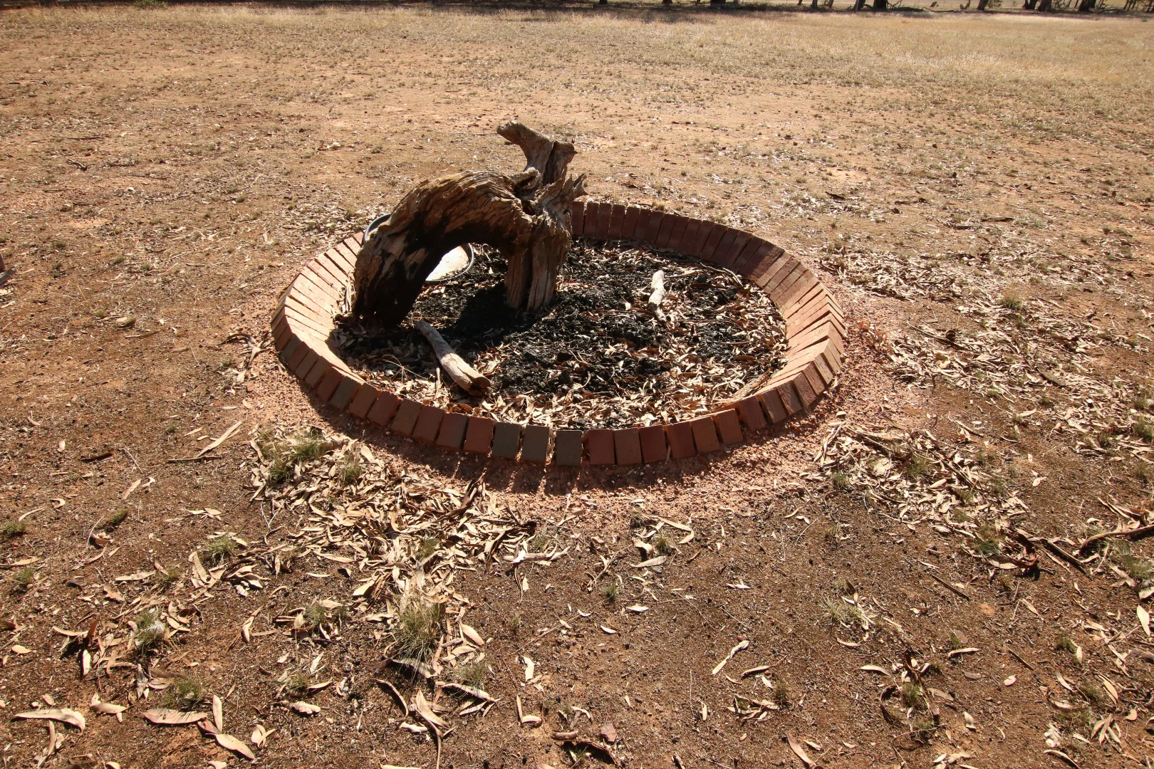 Image 11