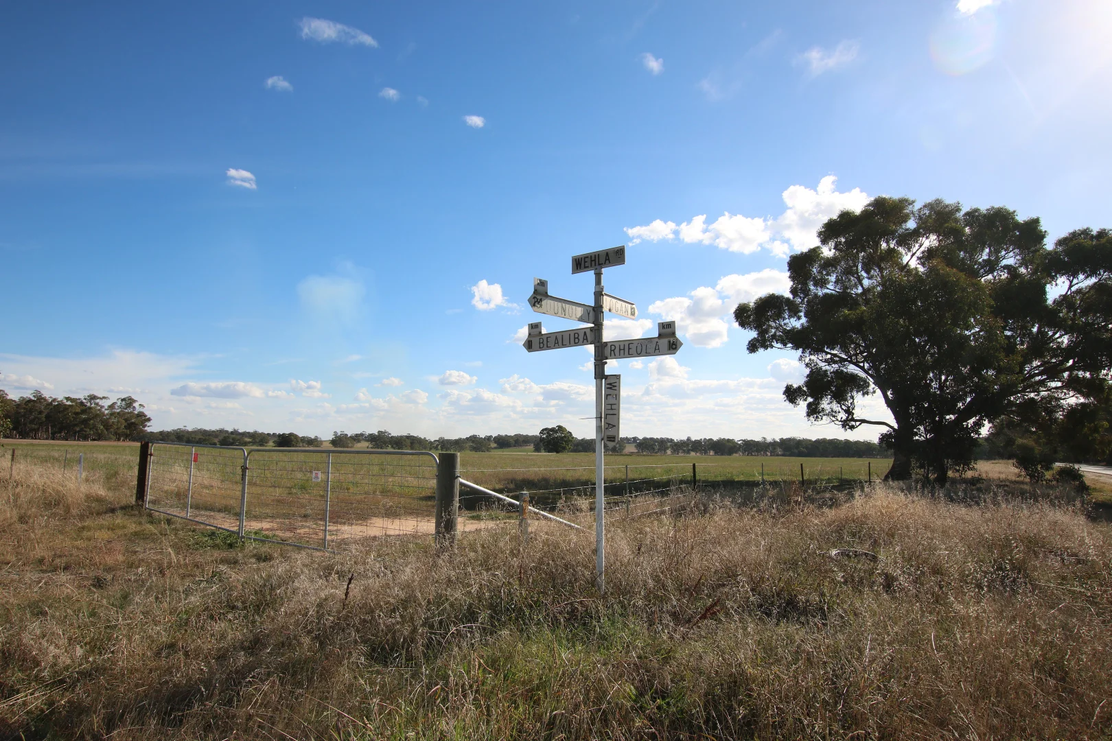 Image 19
