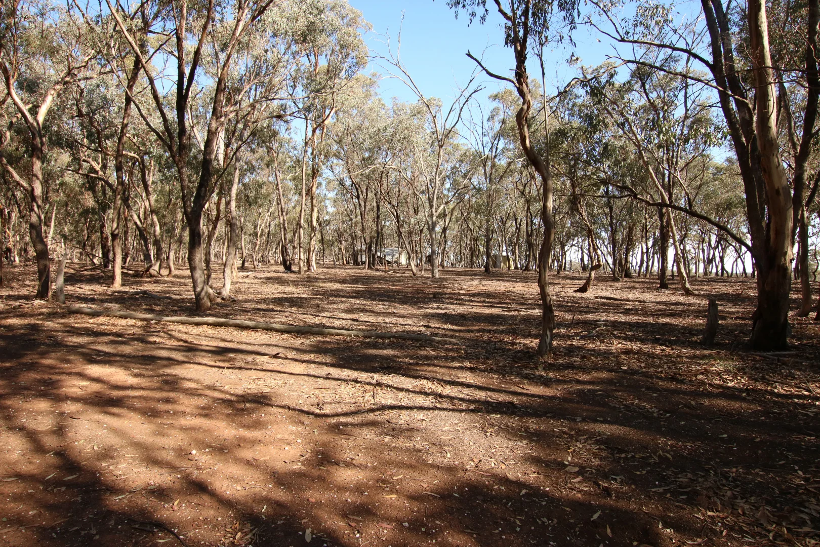 Image 7