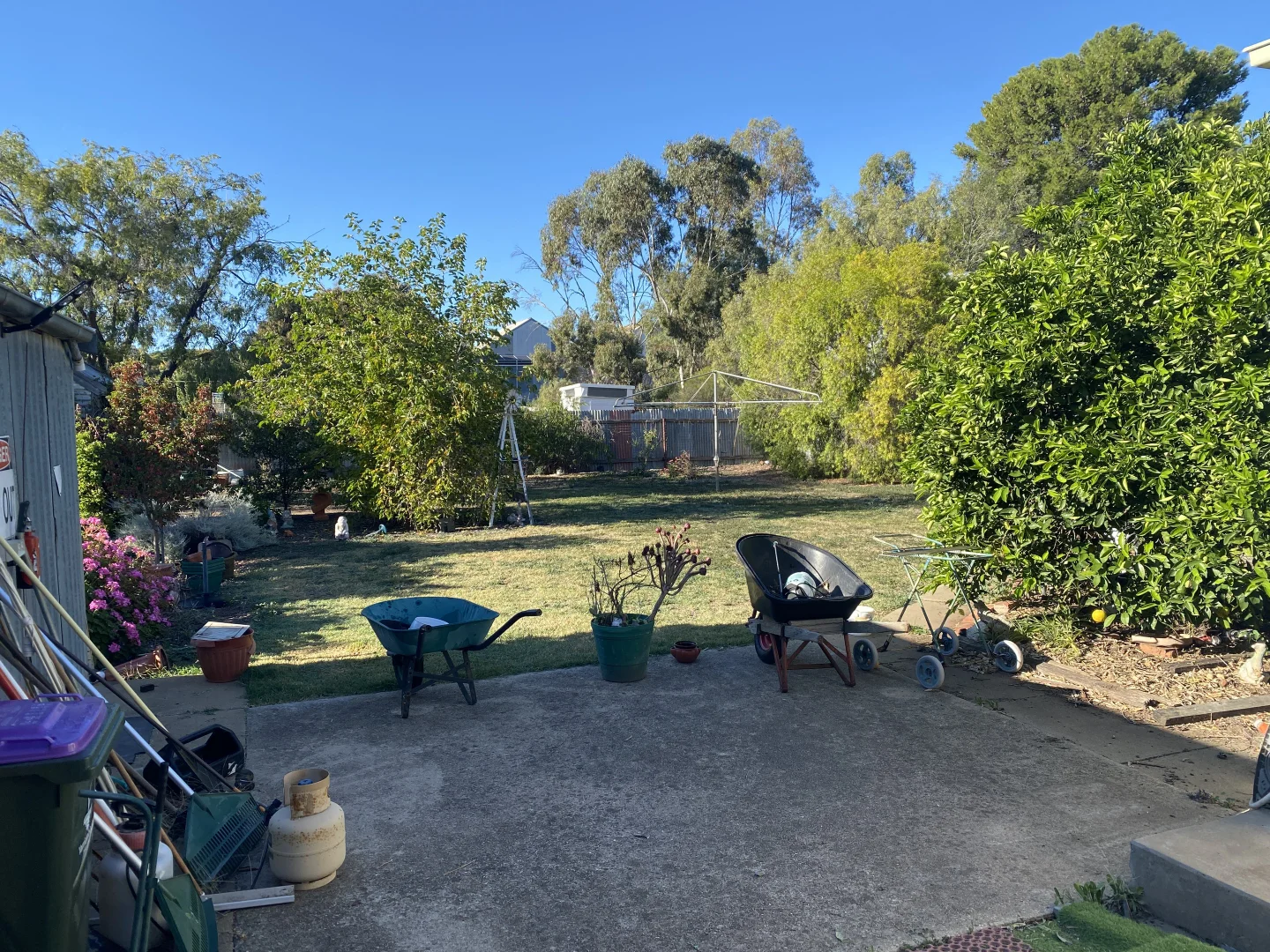 Image 11