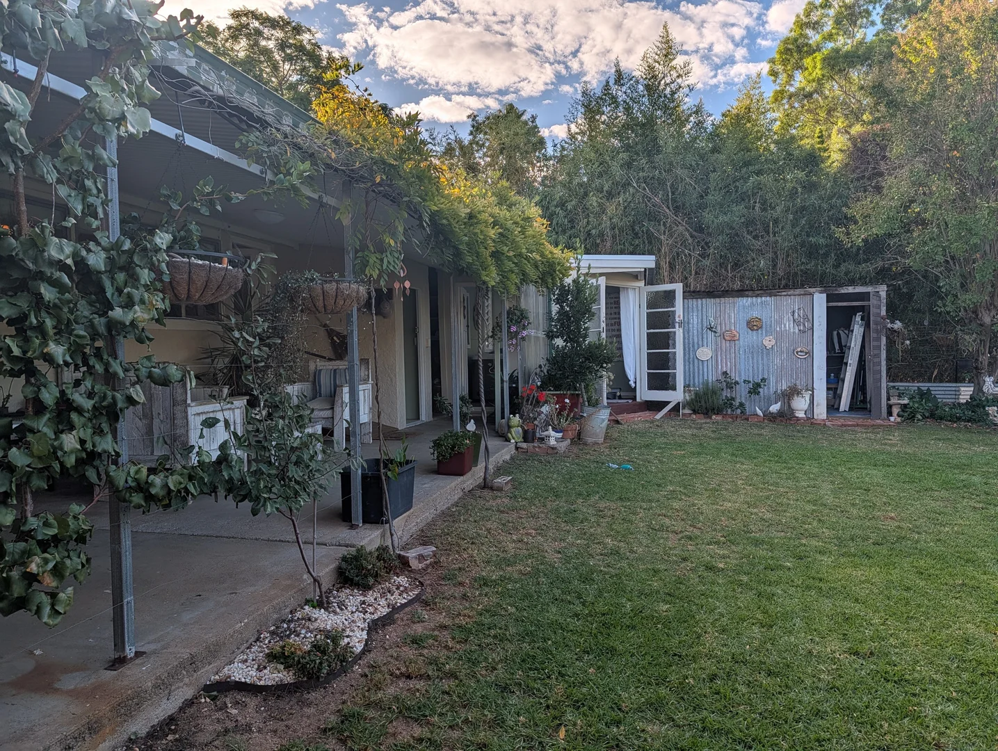 Image 21
