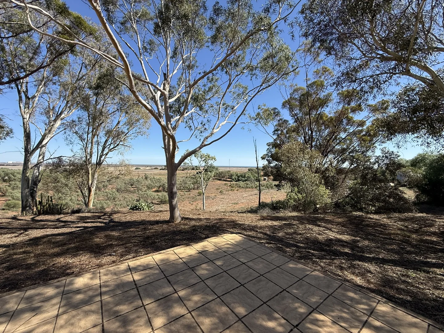 Image 12