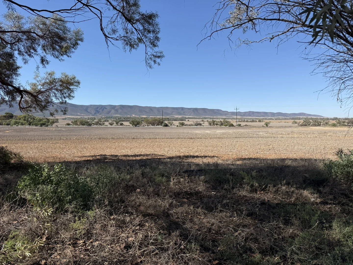 Image 13
