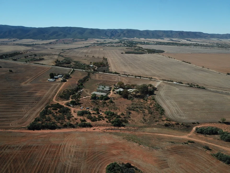 Image 49
