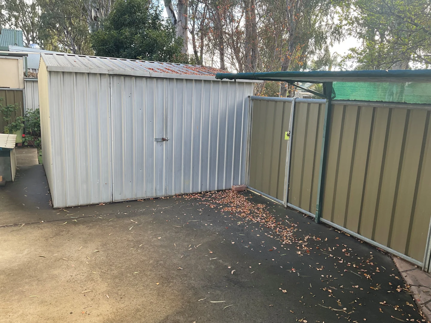 Image 15