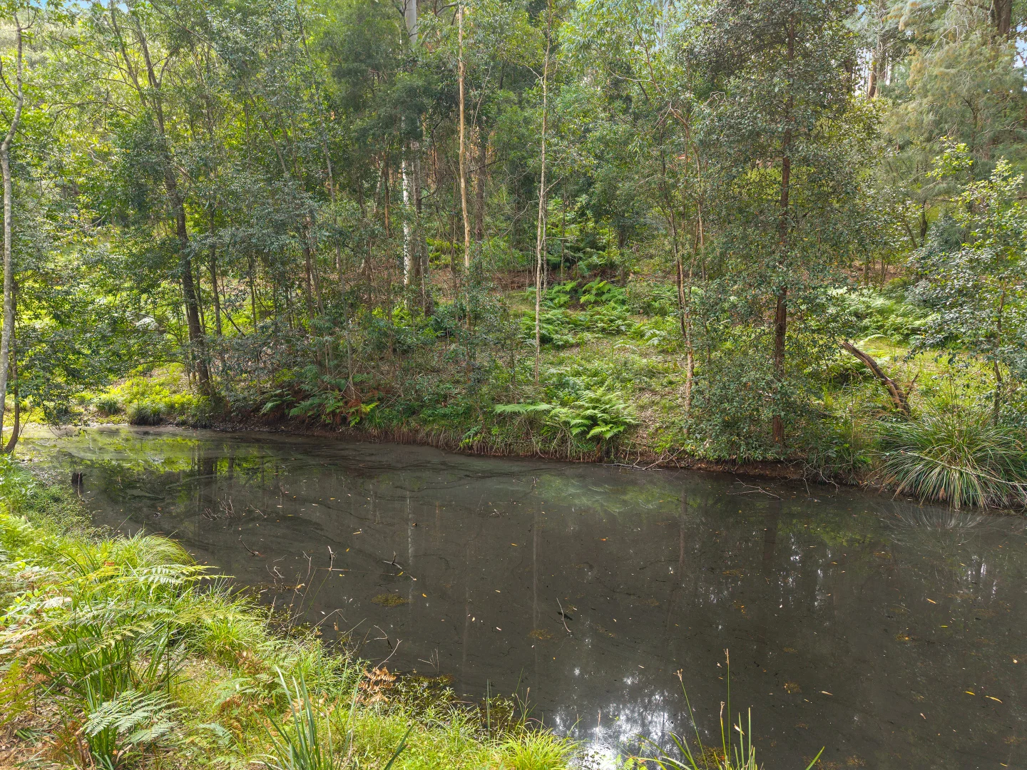 Image 14
