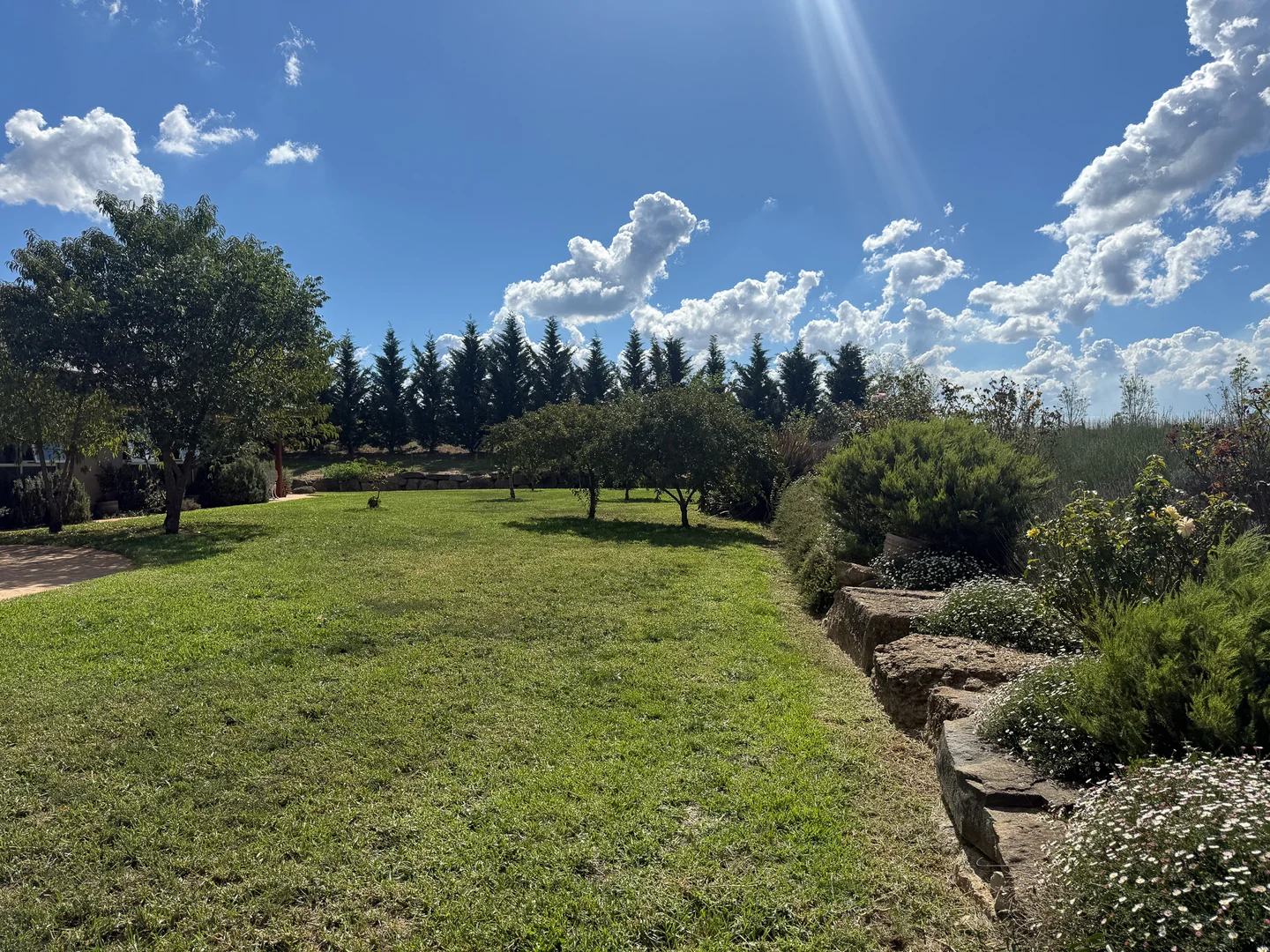 Image 30