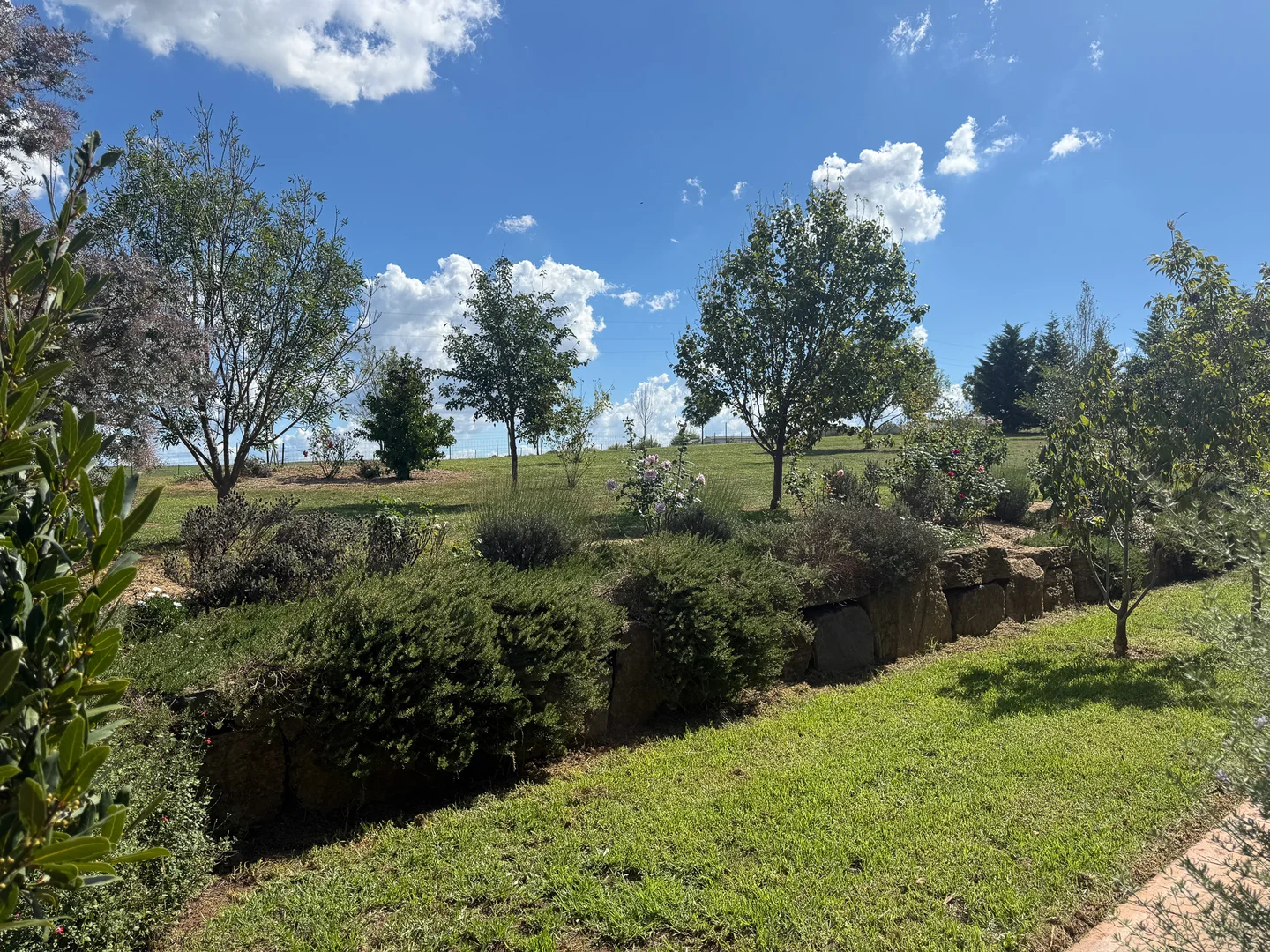 Image 31