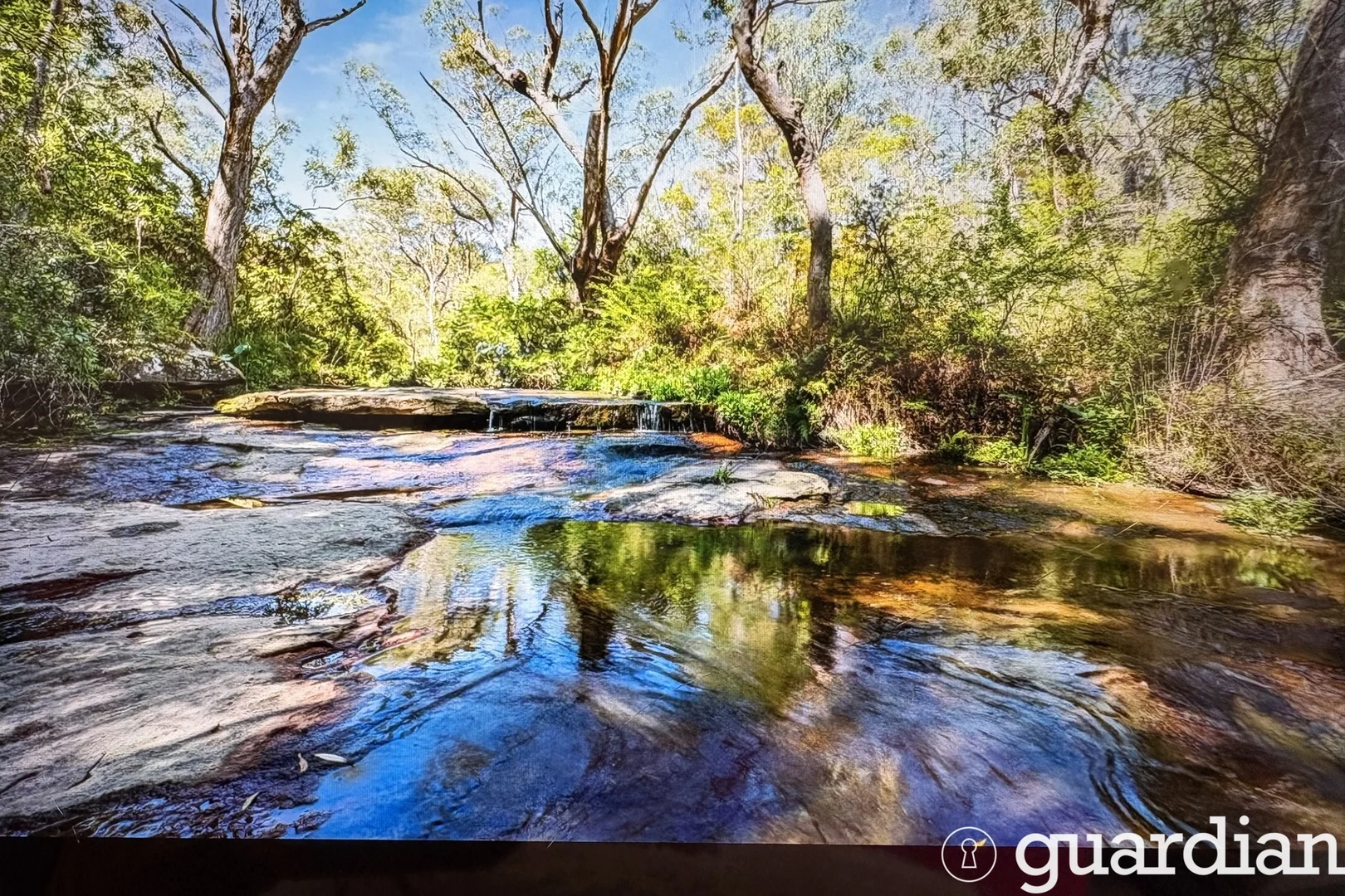 Image 5