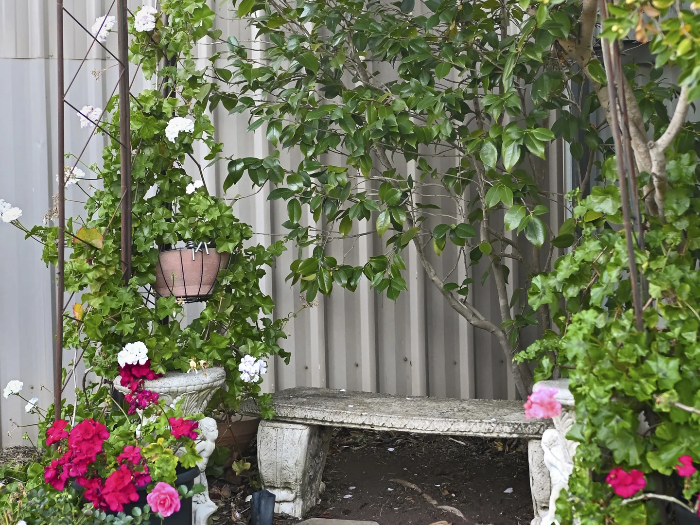 Image 24