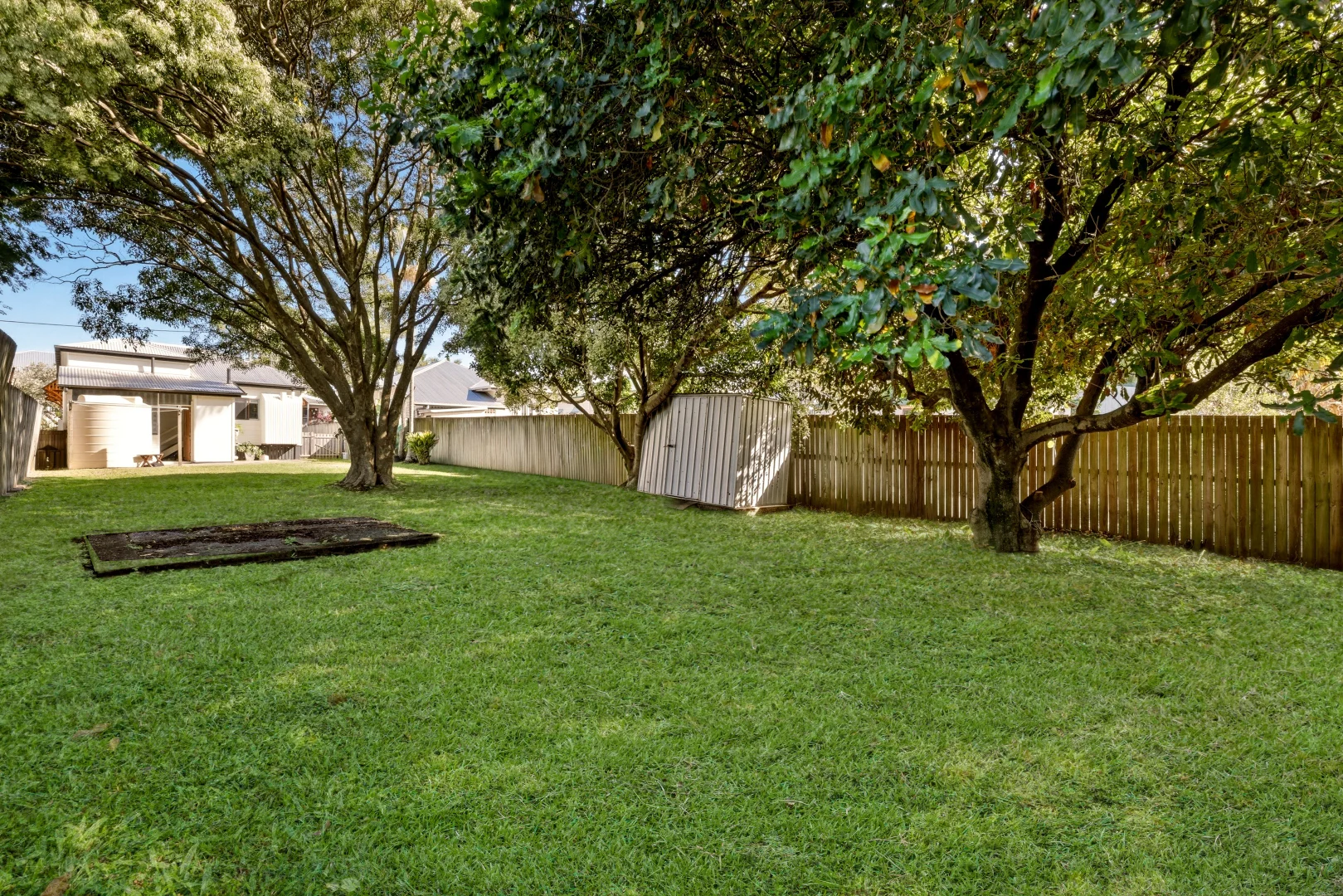 Image 14