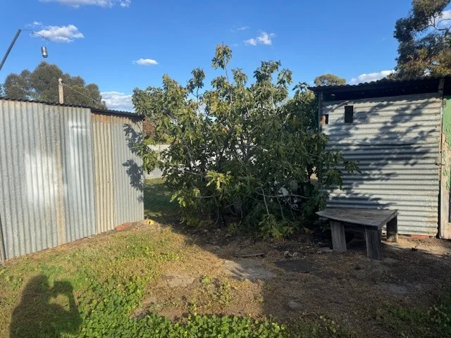 Image 31