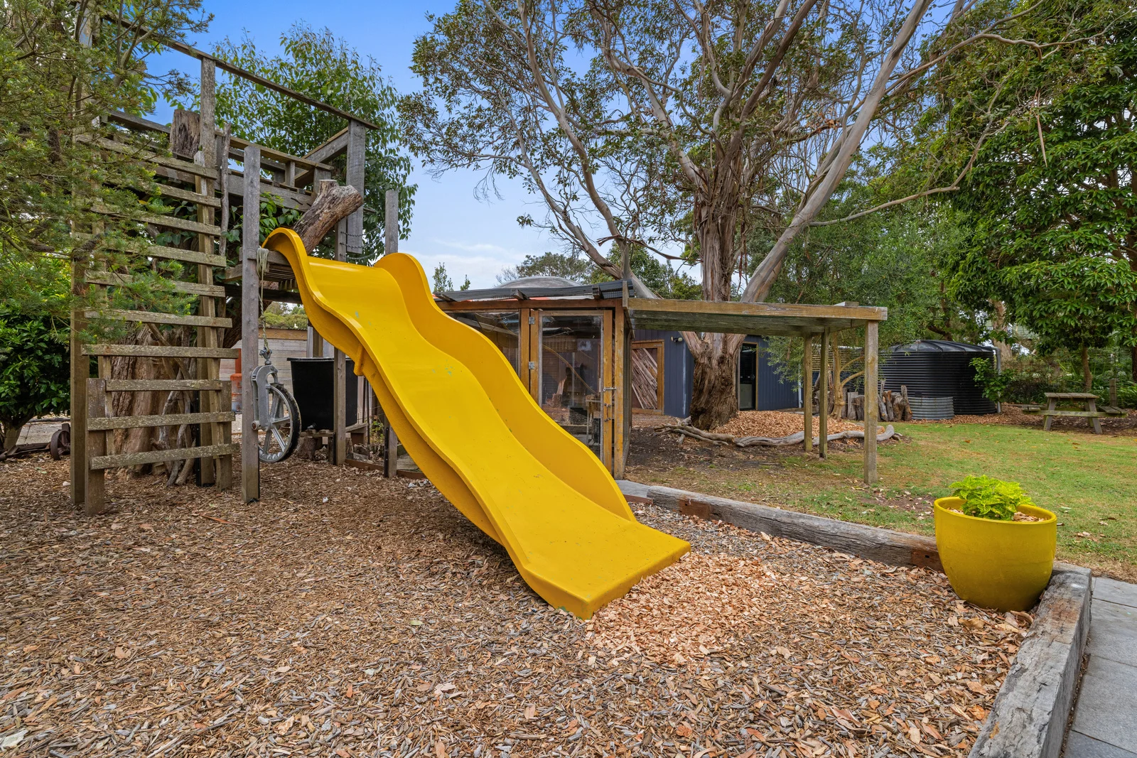 Image 14