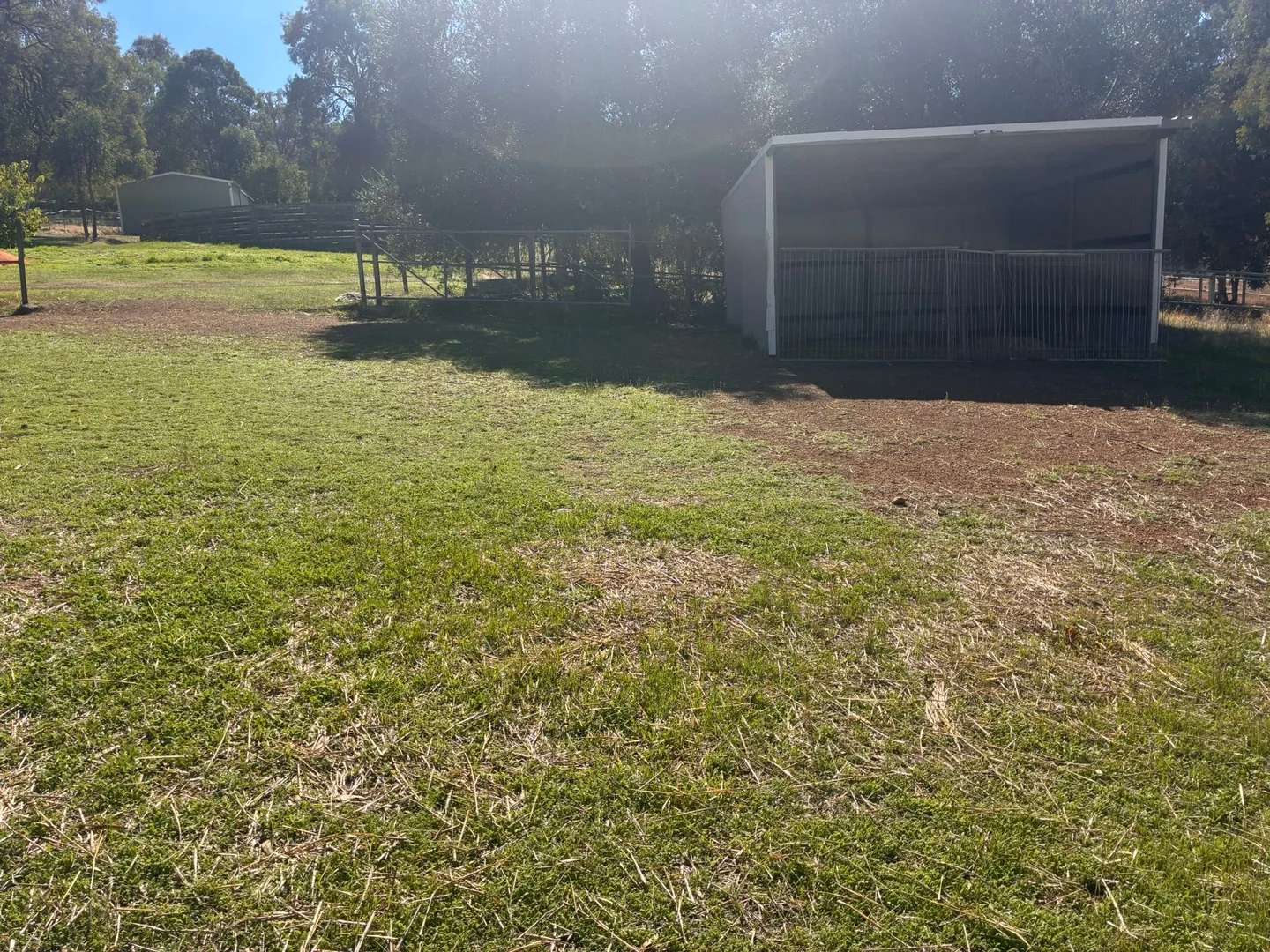 Image 22