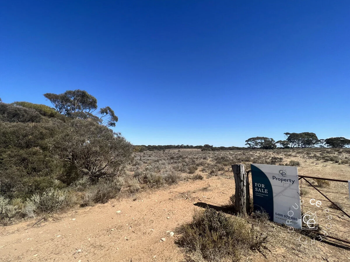 Image 10