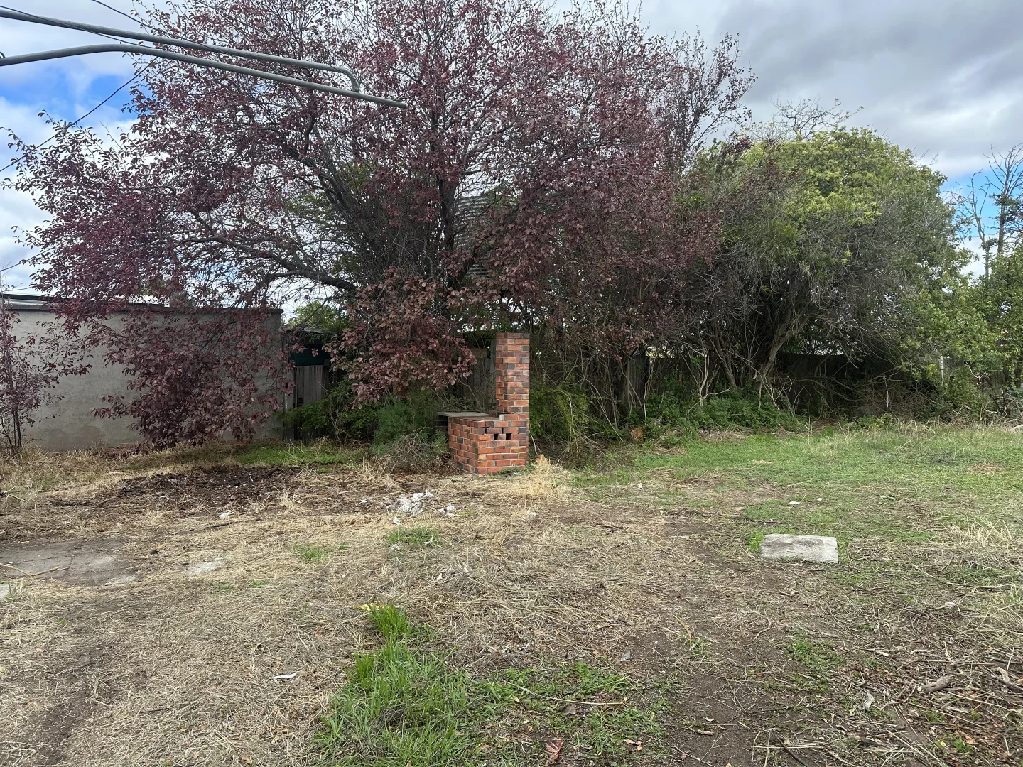 Image 22