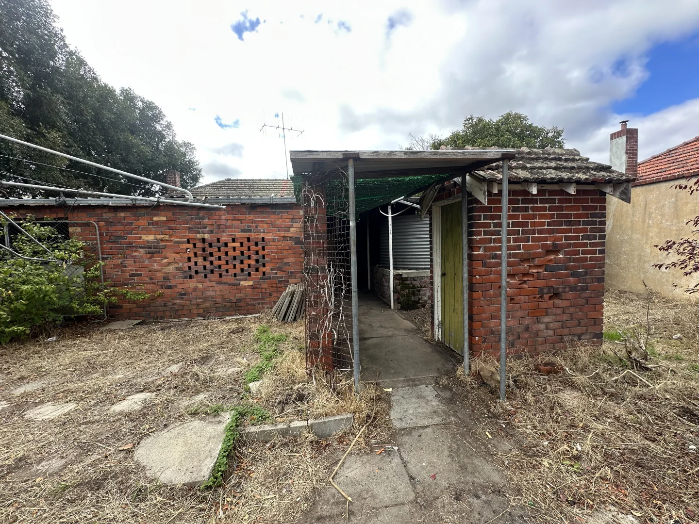 Image 25