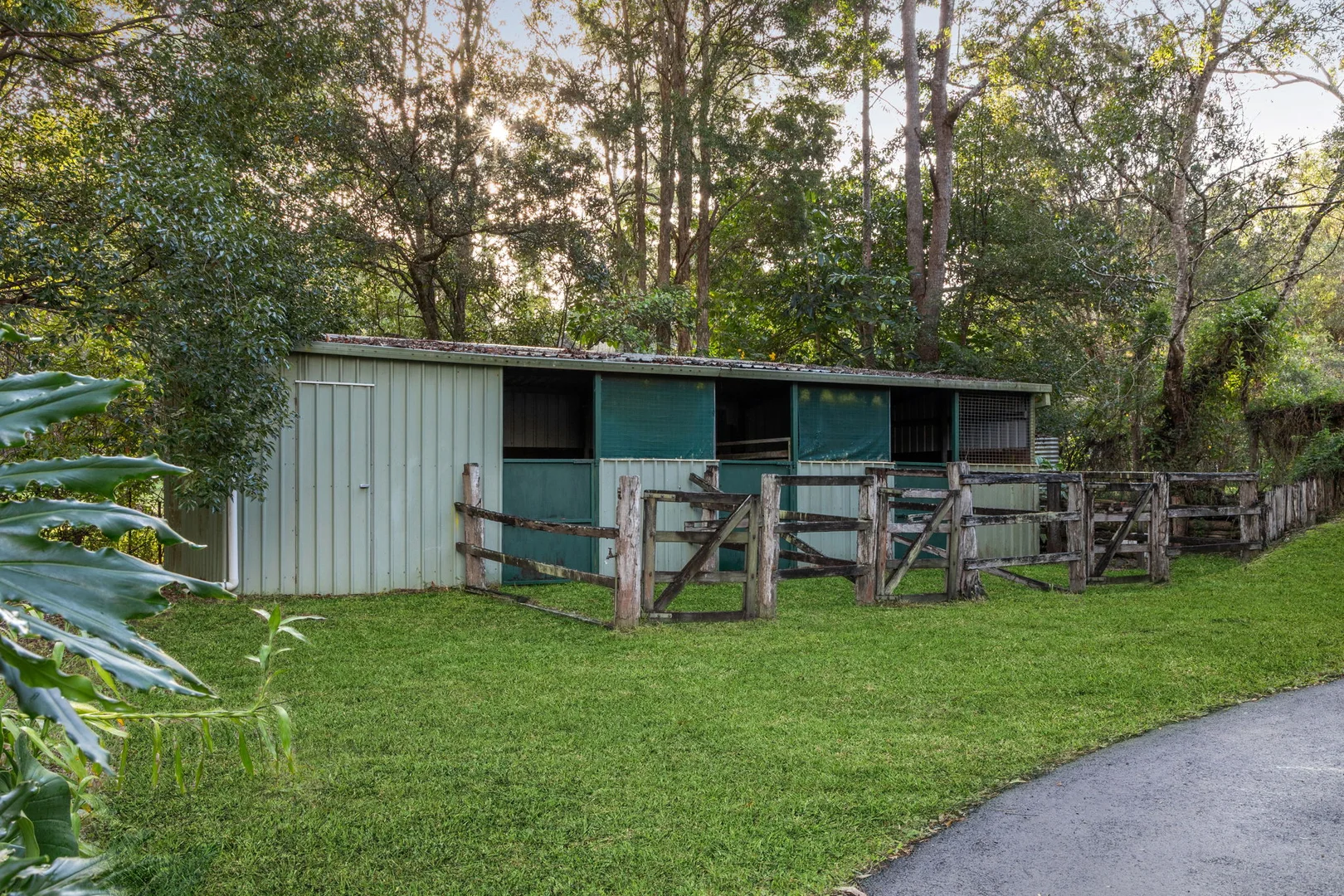 Image 11