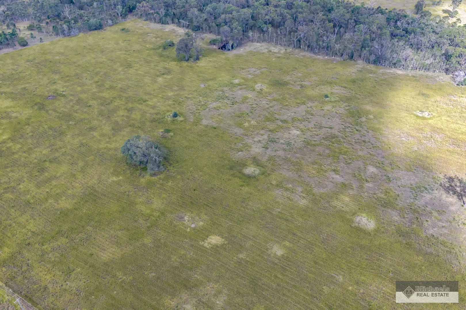 Image 46