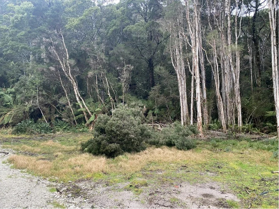 Image 9