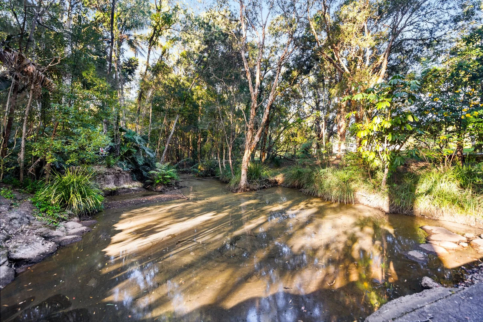 Image 11