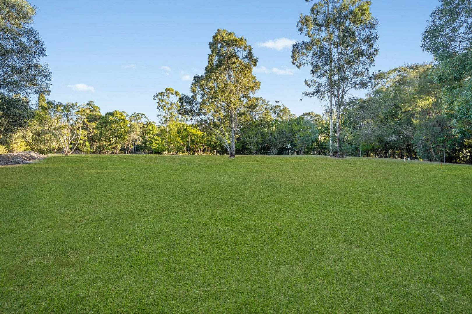 Image 14