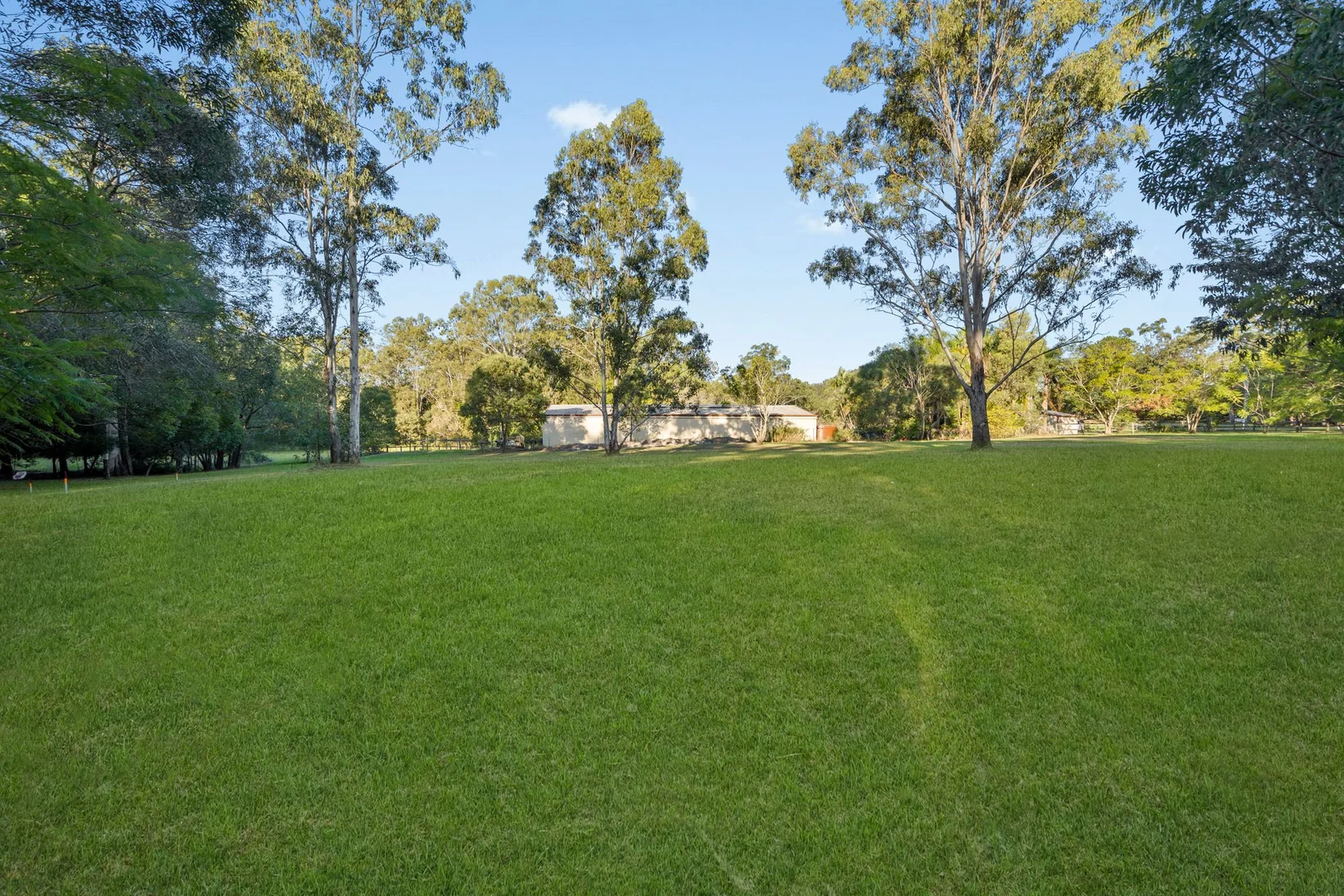 Image 15