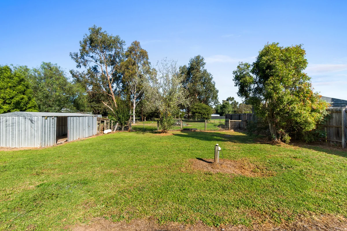 Image 13