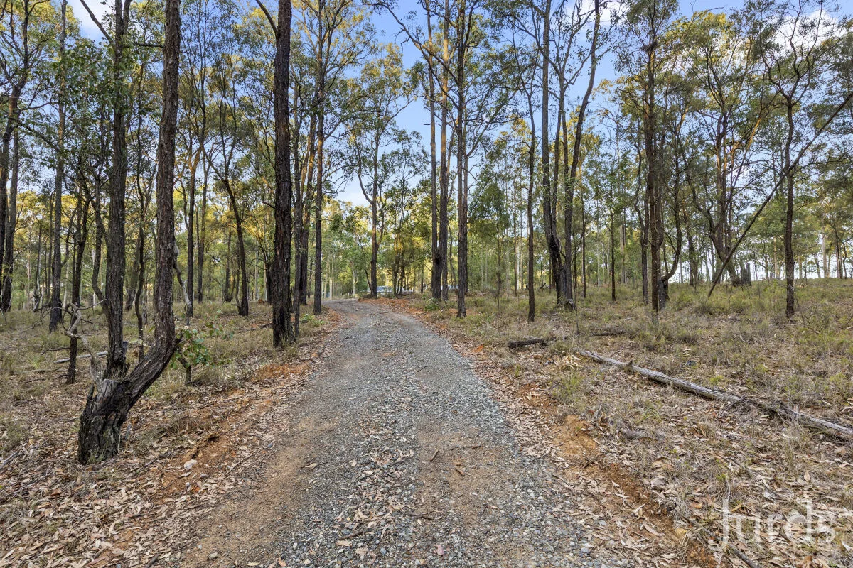 Image 15