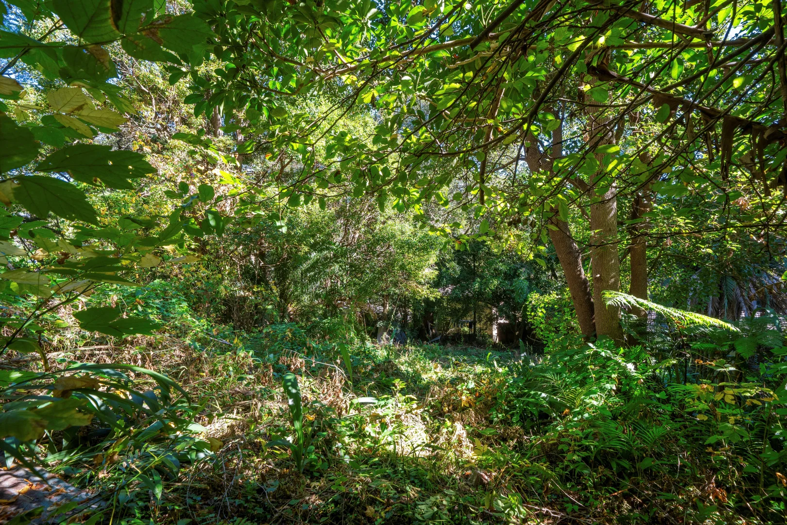 Image 14