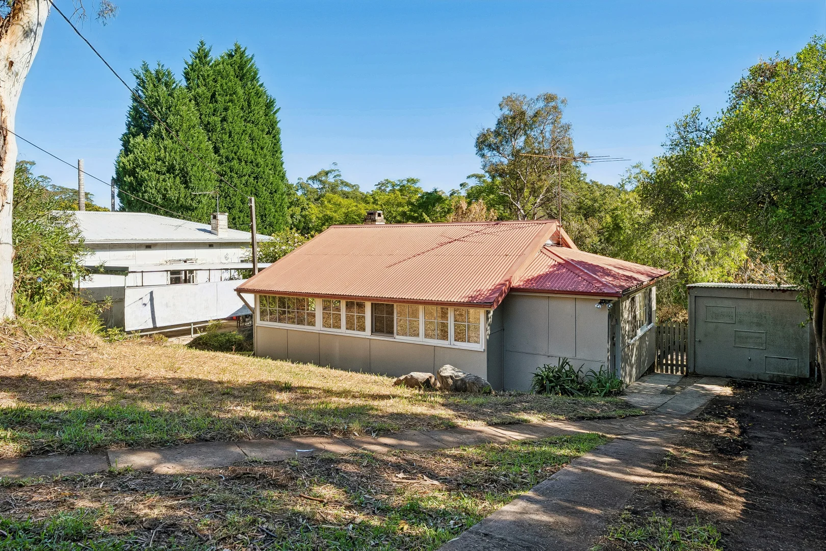 Image 5