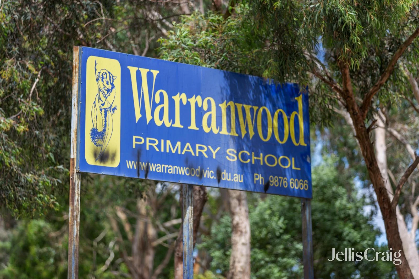 Image 11