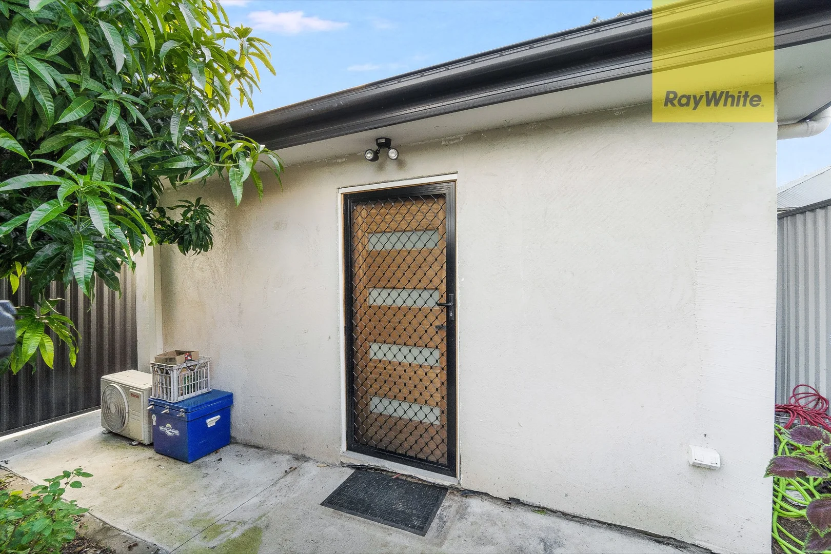 Image 16