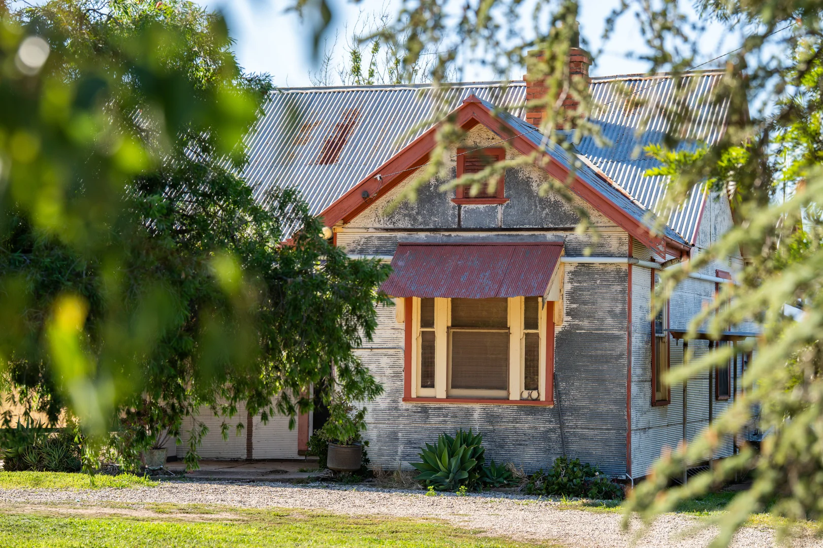 Image 4