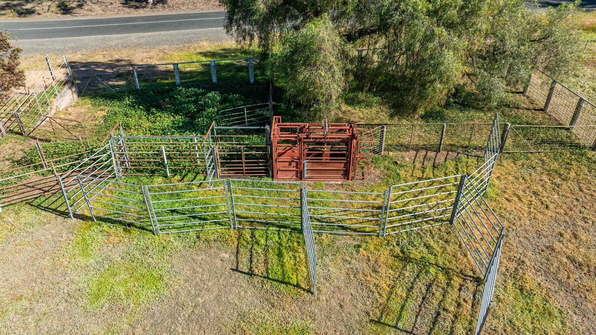 Image 6