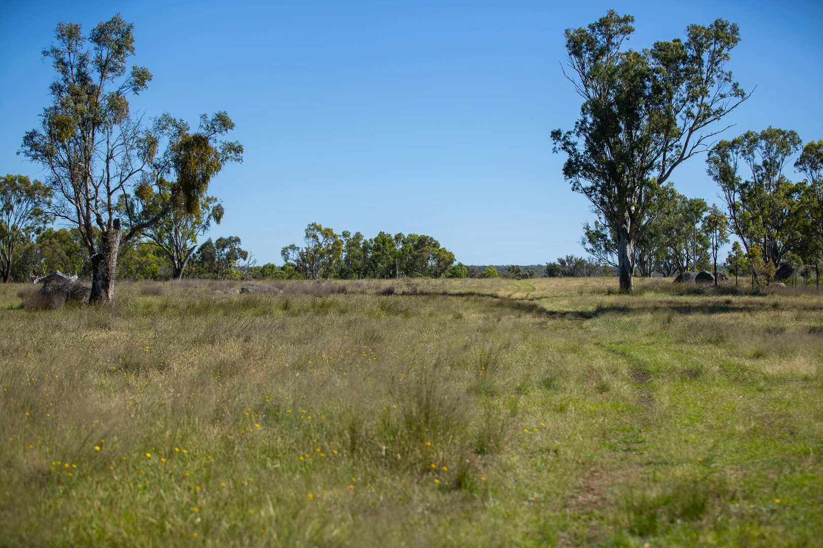 Image 14