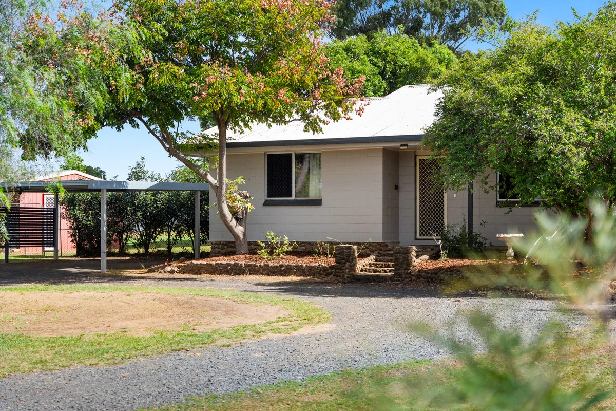 Image 15