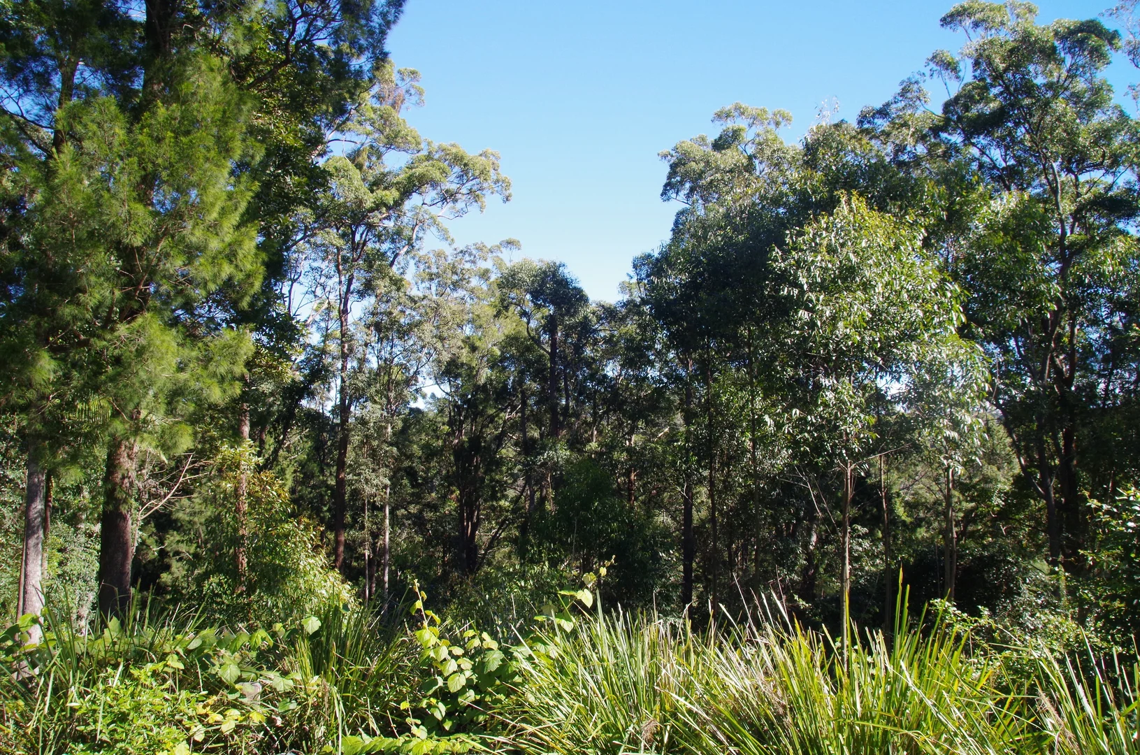 Image 10