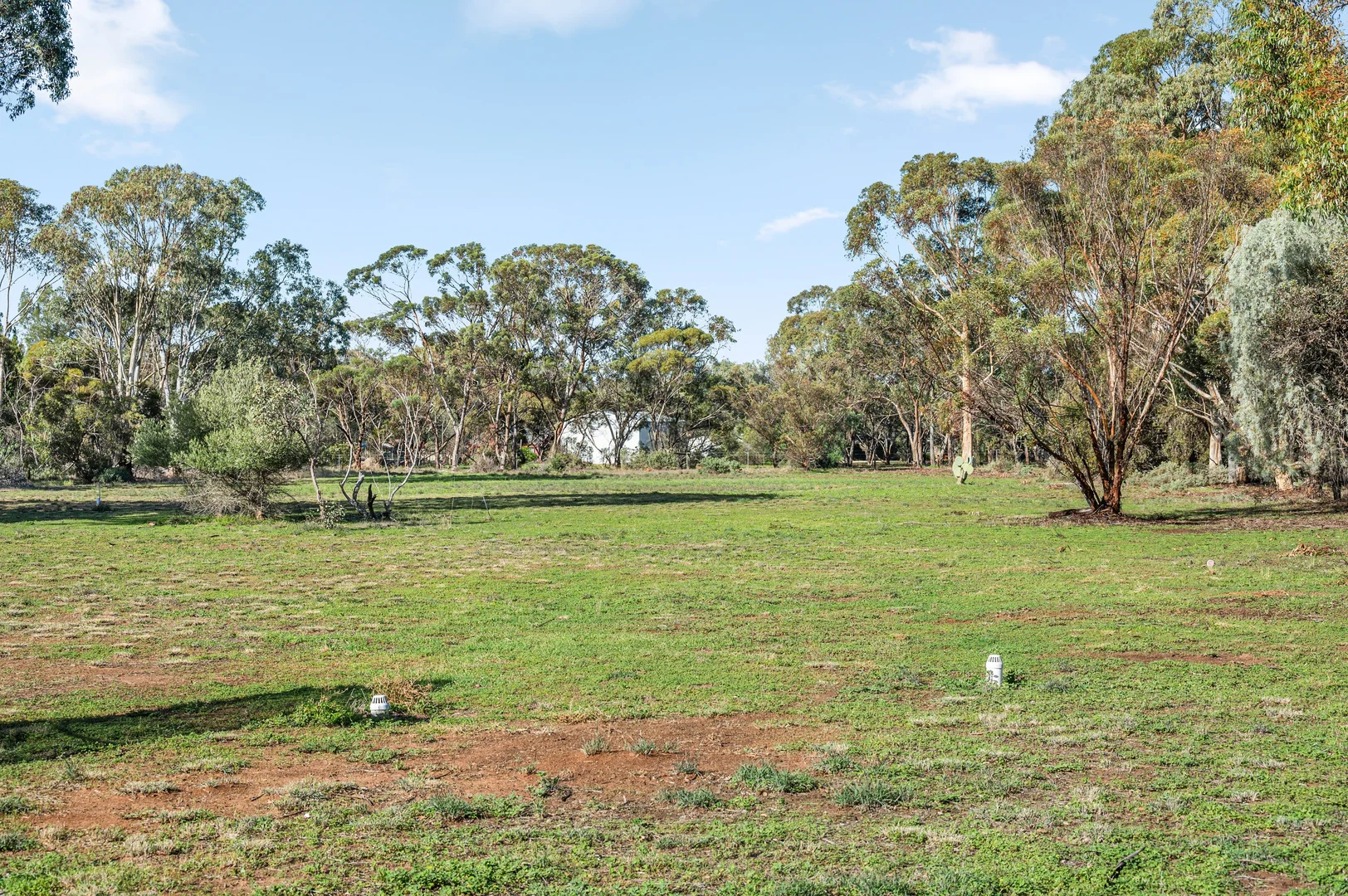 Image 21