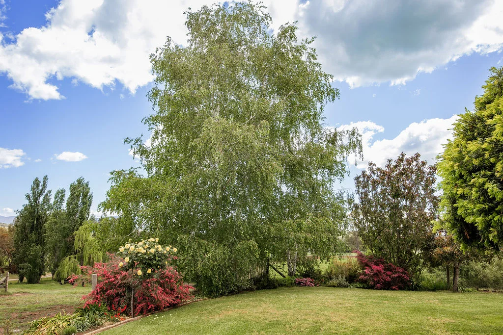Image 29