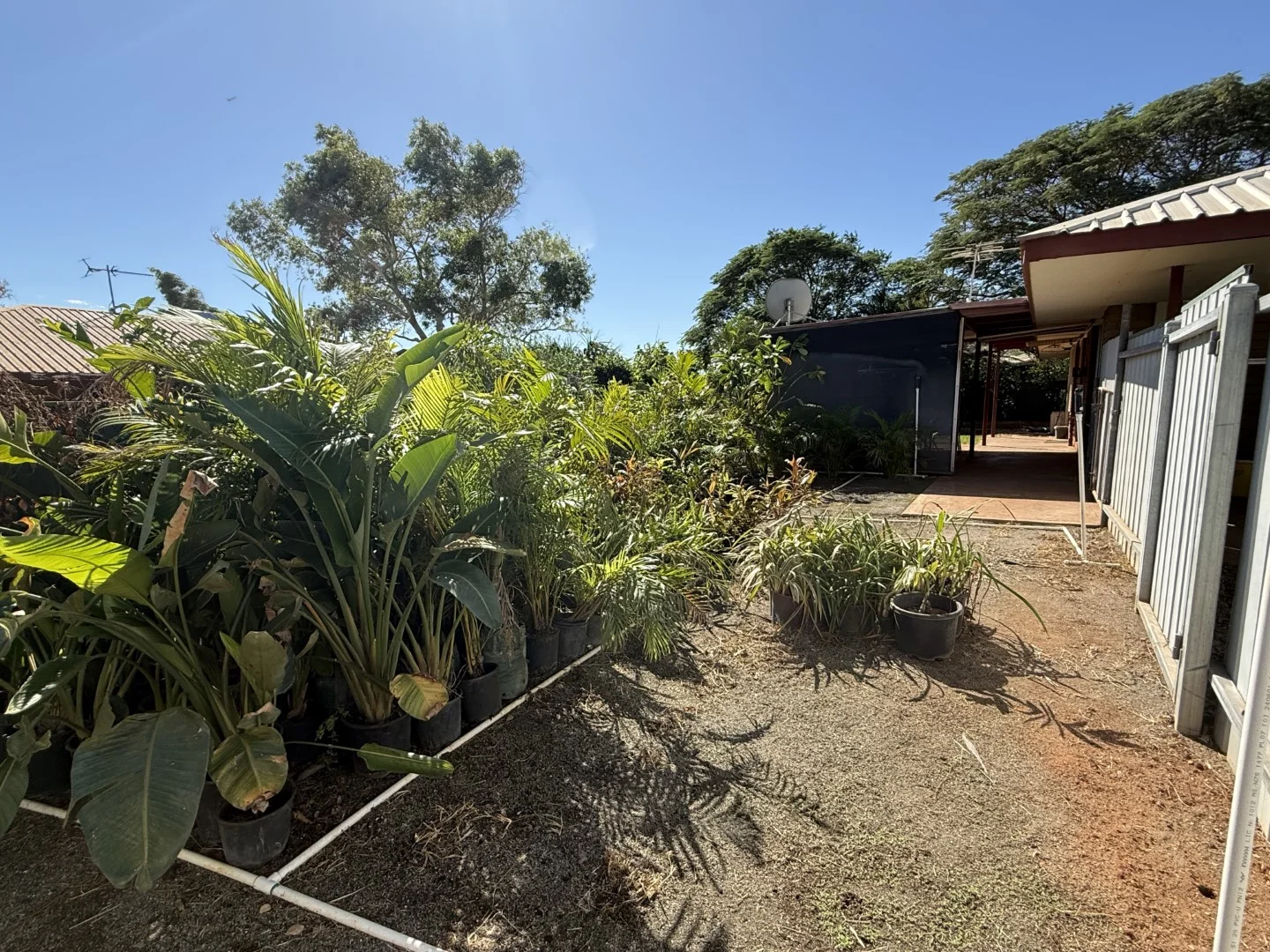 Image 28