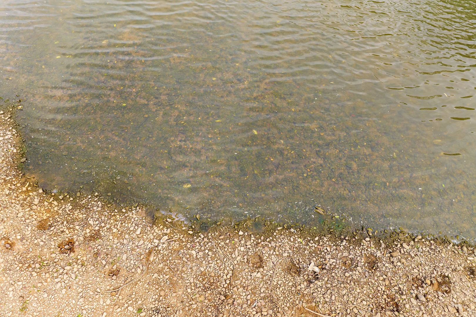 Image 15