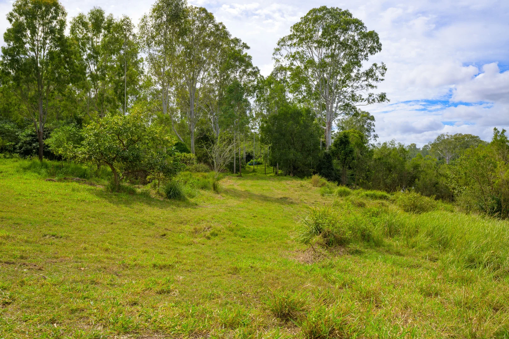 Image 34