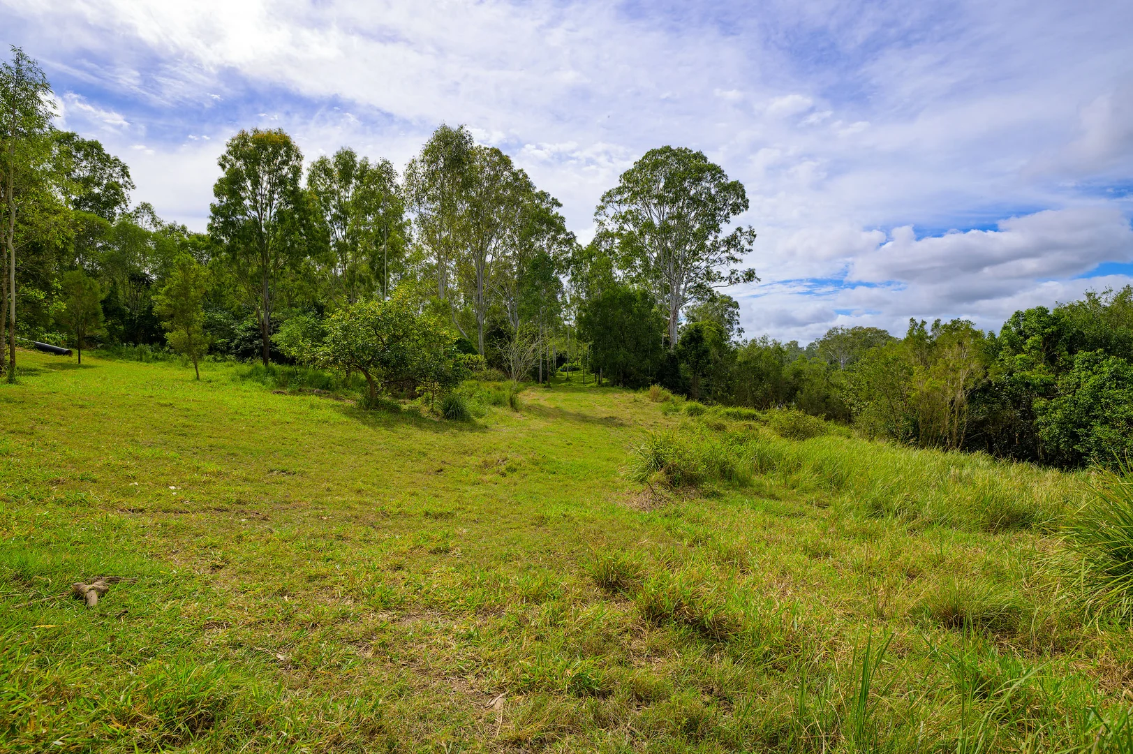 Image 36